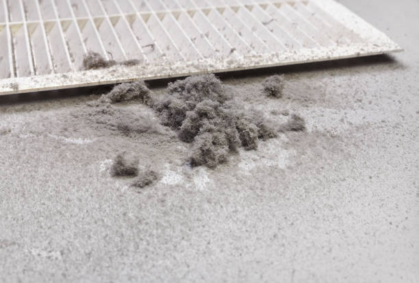 Best Affordable Air Duct Cleaning  in Sleepy Hollow, IL