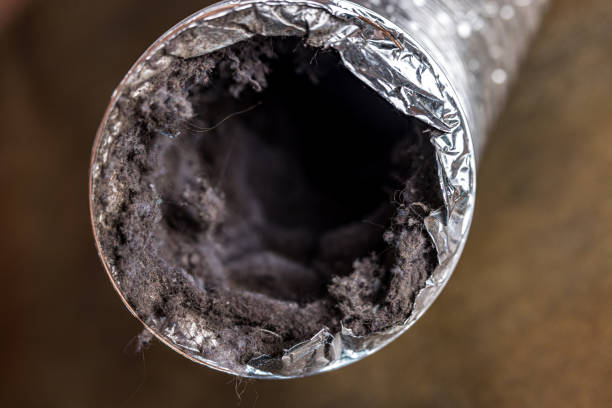 Best Affordable Air Duct Cleaning  in Sleepy Hollow, IL